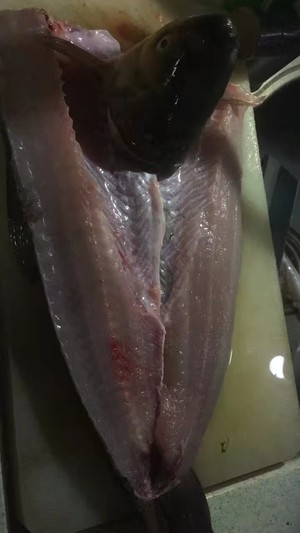 谁相信这是我第一次操刀生鱼片 灰姐家的厨房的做法 步骤3