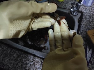 (家庭版免炸)小龙虾?-蒜蓉味-简单好吃的做法 步骤4