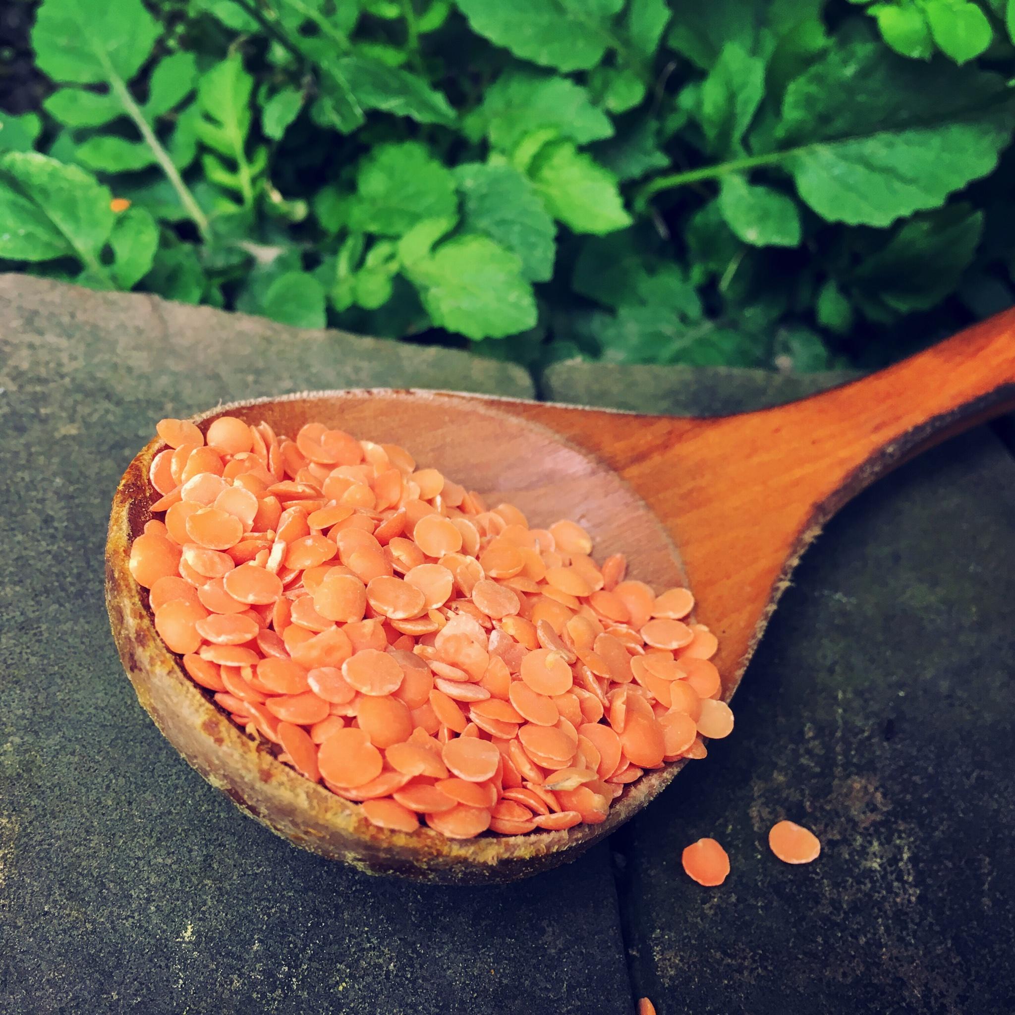 兰度豆米饭(高蛋白的好碳水)