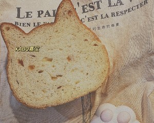 大脸猫奶香蜂蜜丁橙皮丁吐司的做法 步骤32