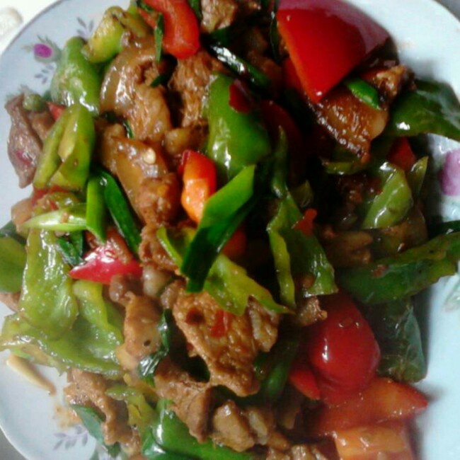爱美食的天使~做的四川回锅肉