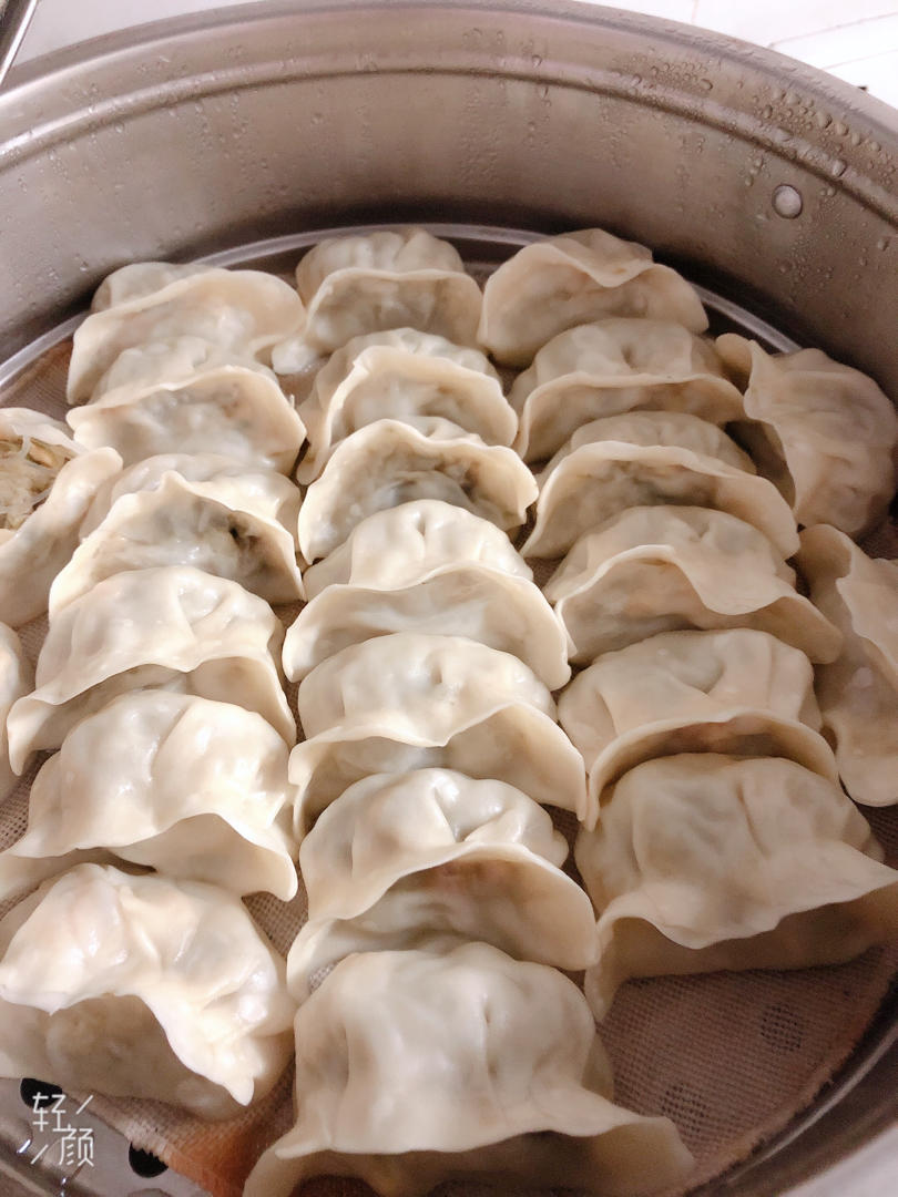 丶铁锅炖自己做的烫面萝卜素蒸饺