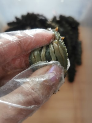 超快速海参泡发方法的做法 步骤3