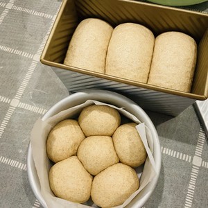 波兰种一次发酵全麦吐司&餐包(新手友好)的做法 步骤6