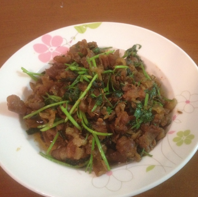 家常菜 孜然羊肉片 点点滴滴べ丶做的孜然羊肉片