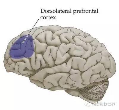 57bd58a9cb5bd.jpg
