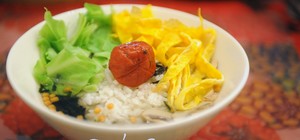 赖以生存茶泡饭的封面