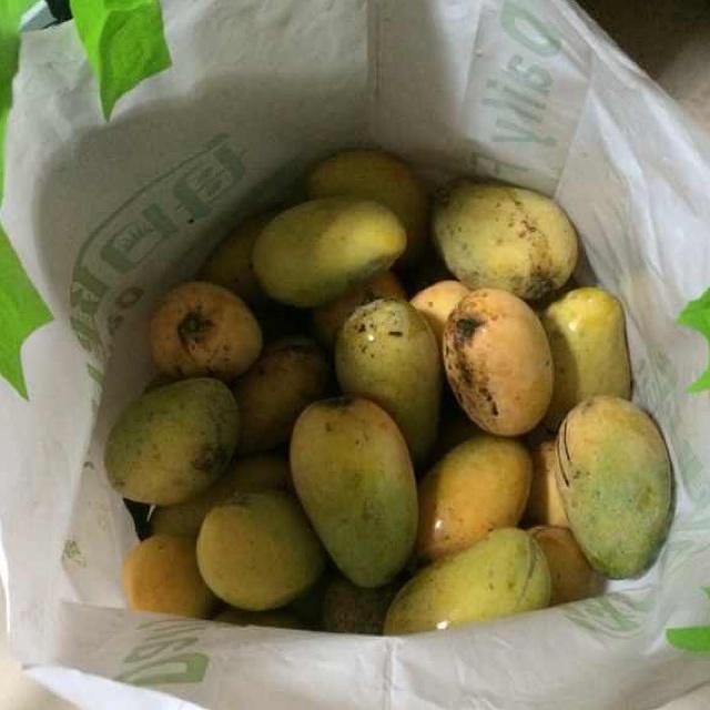 冰冻芒果的做法