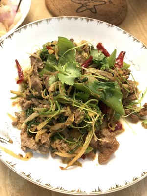 香菜青椒牛肉的做法 步骤5
