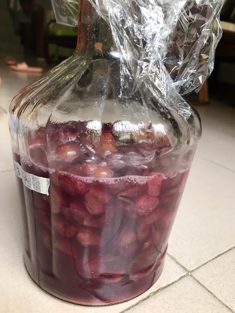 杨玥玥做的自制葡萄酒
