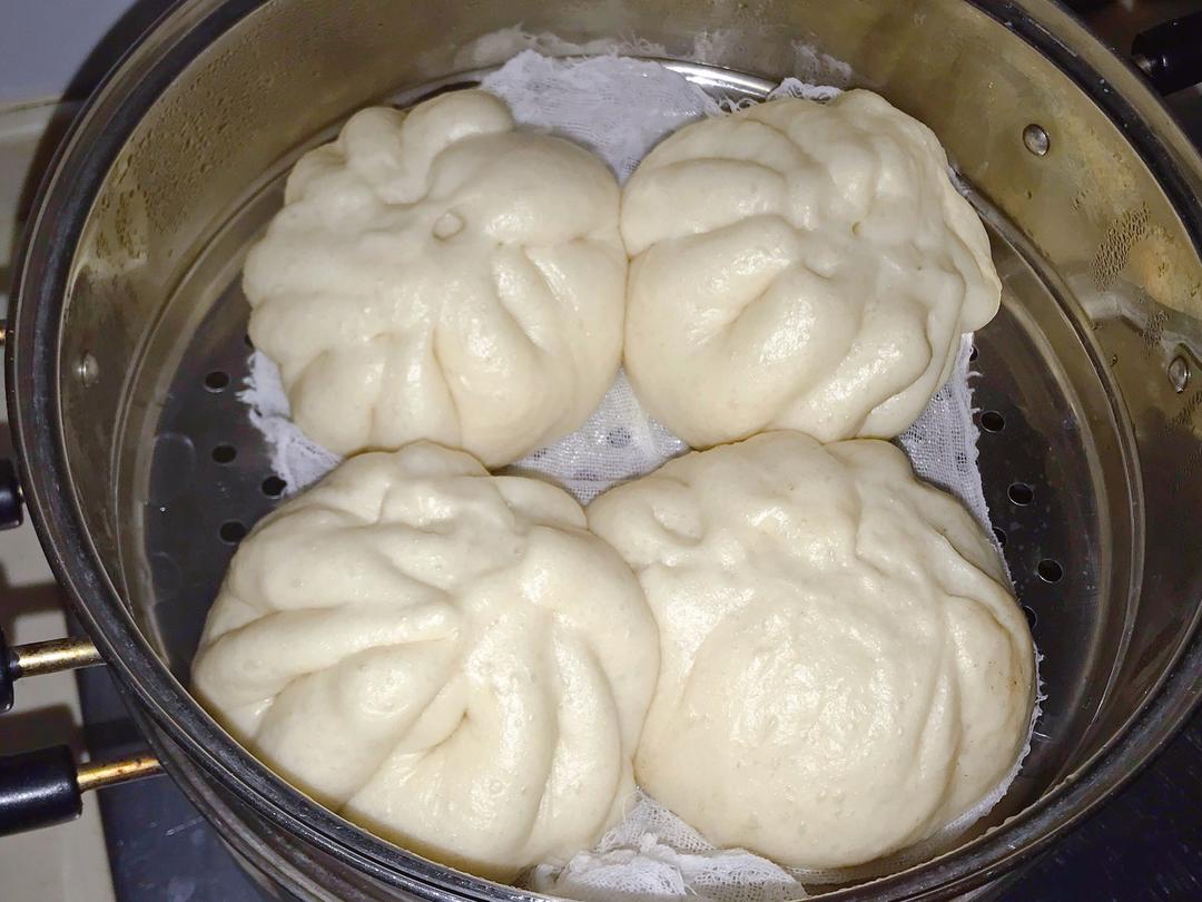 【一次发酵】豆沙大包子