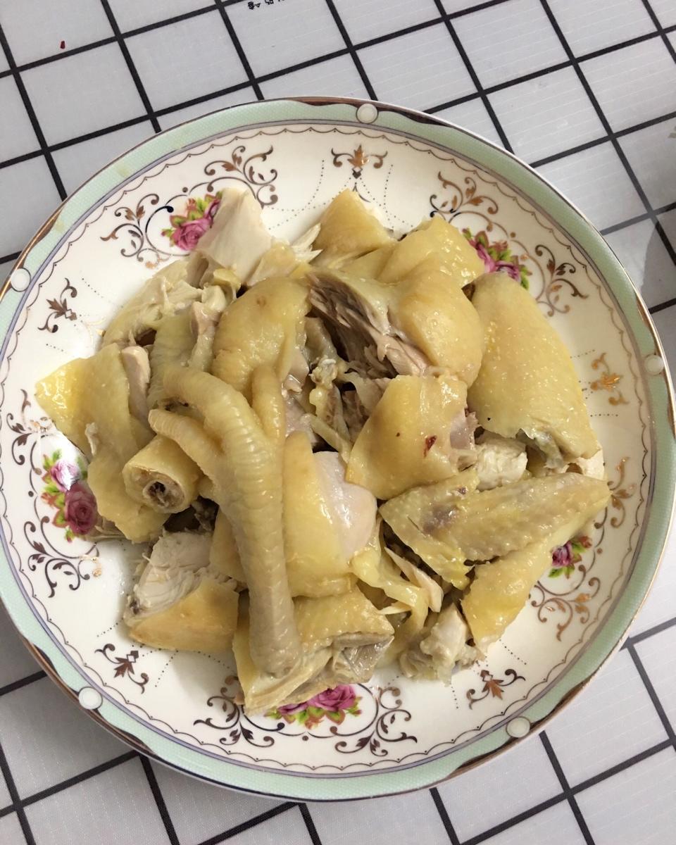 家常菜 白切鸡 欣心事成做的白切鸡 赞 清远鸡/三黄鸡,姜,葱,香菜