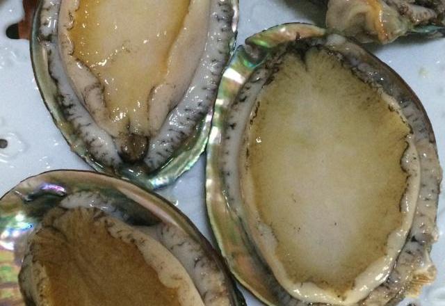 灵芝鲍鱼炖鸡腿