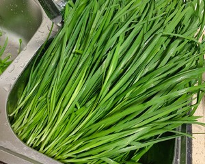 春卷~豆干韭菜馅的做法 步骤3