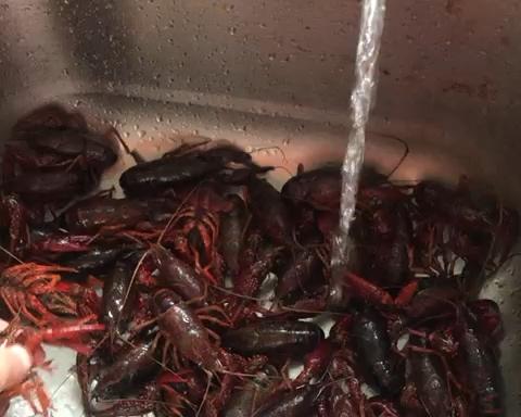 彻底清洗清理小龙虾，简单又干净的做法 步骤3