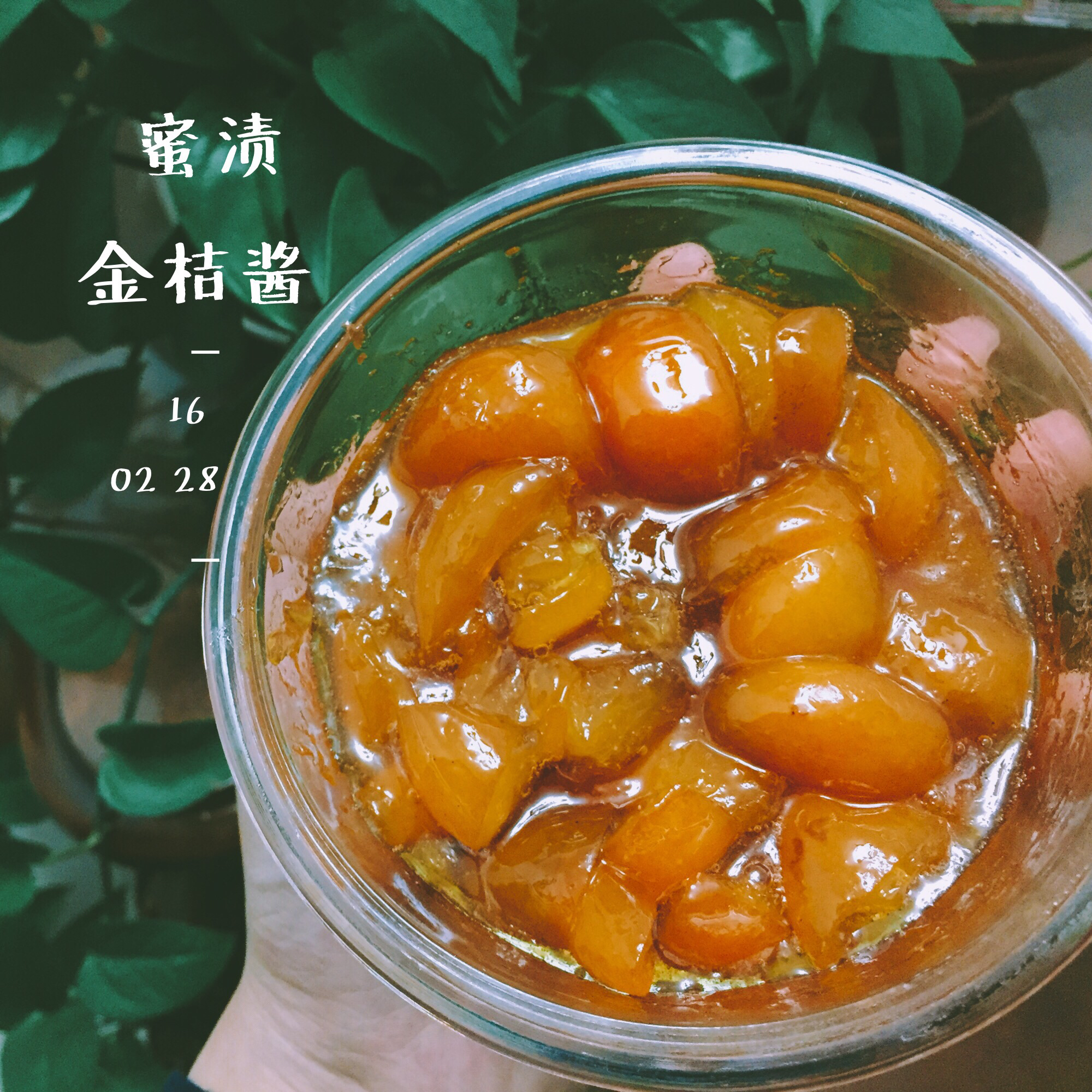 丝er做的蜜渍金桔酱奶奶的秘方