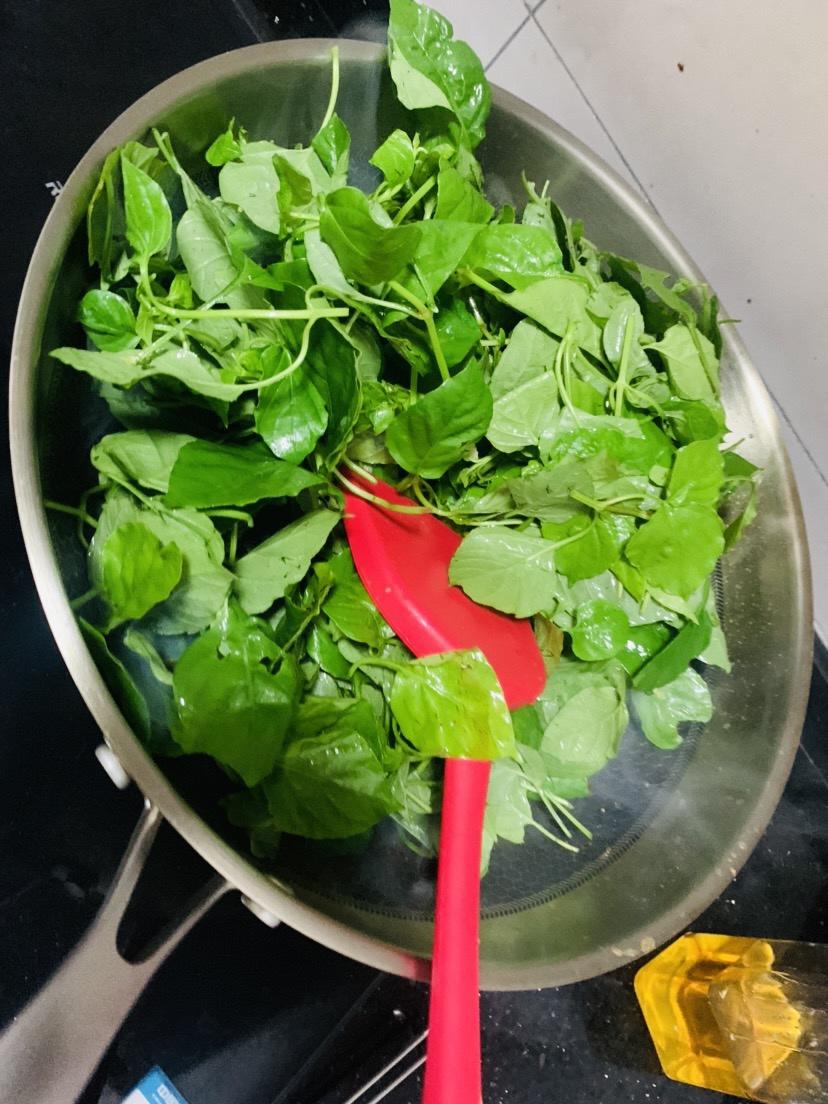 冬瓜木耳香菜减肥汤三天情况报告(丝瓜炒海白)
