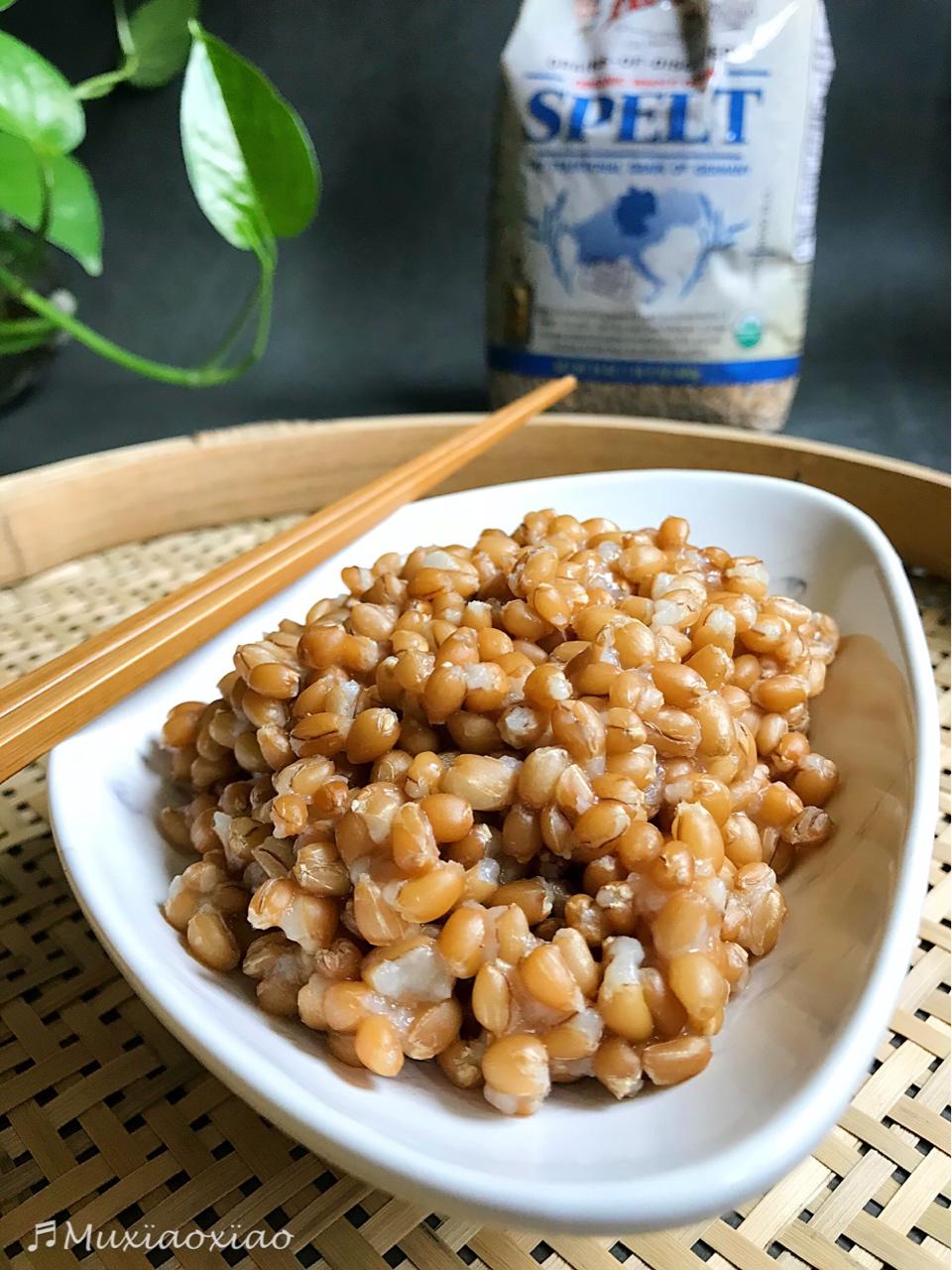 木小小做的【健康三餐】发芽小麦饭