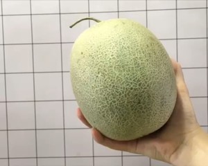 ins风哈密瓜蛋糕~走啊一起去野餐啊的做法 步骤3