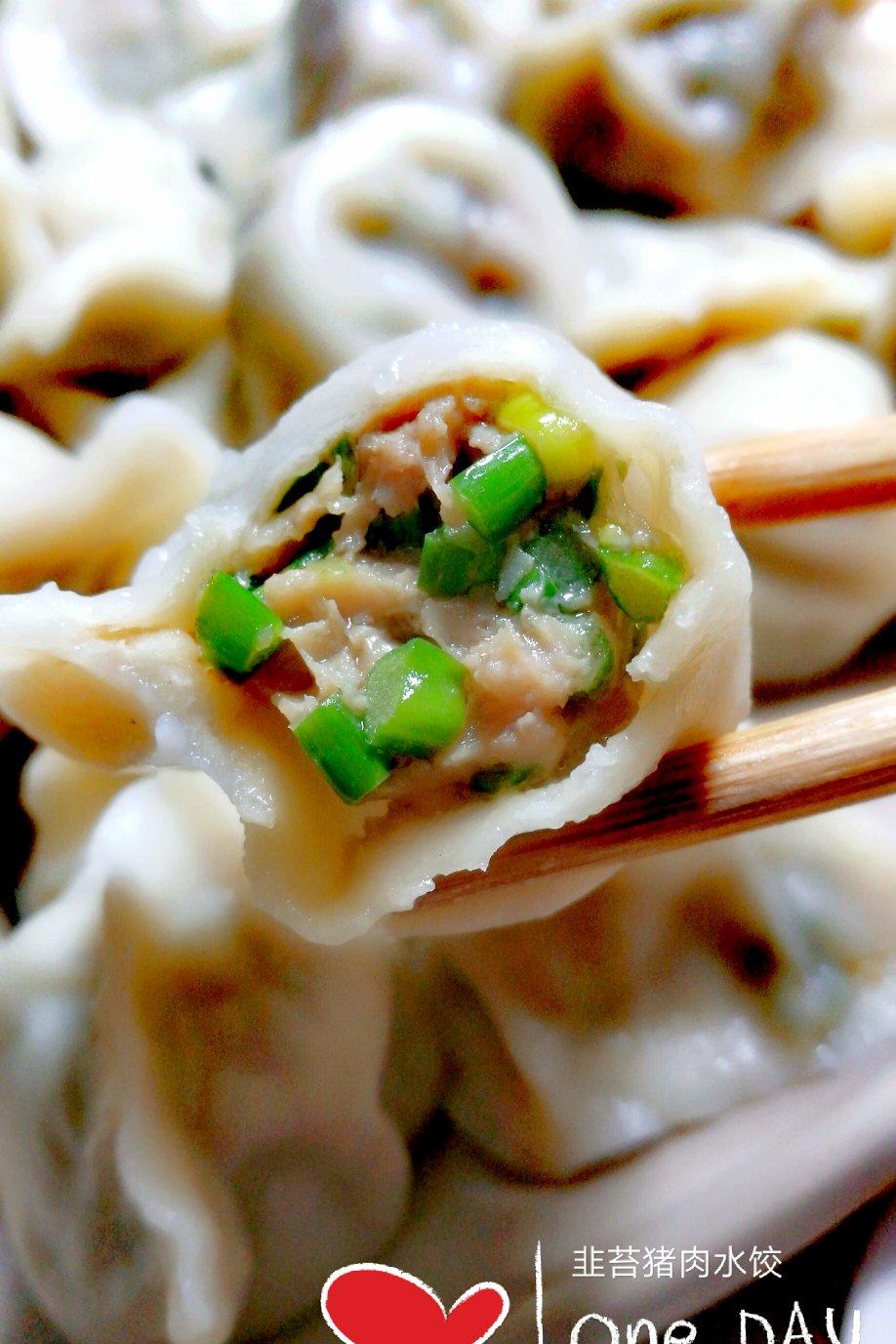 饺子 韭菜猪肉水饺 雁过有声528做的韭菜猪肉水饺