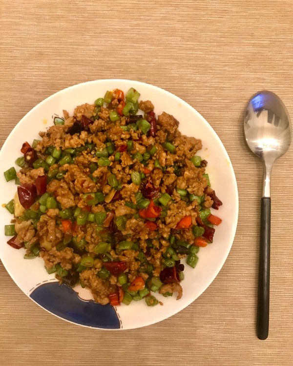 santany做的肉沫豆角下饭菜