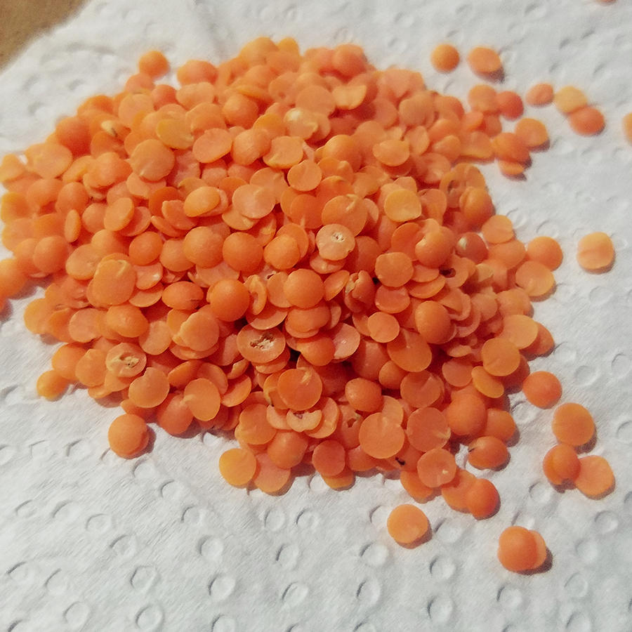 马粟豆沙拉的做法