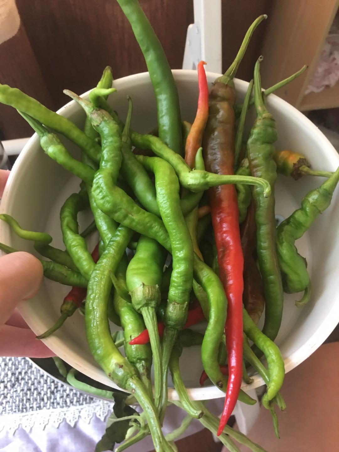 泡菜的做法 步骤12