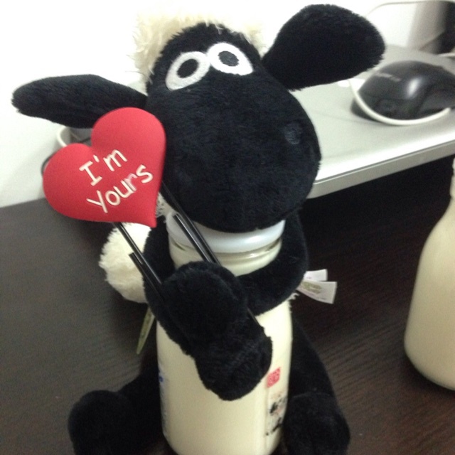 小狮子丢丢的厨房