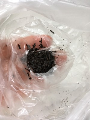 ‼️奶香十足的红茶戚风的做法 步骤2