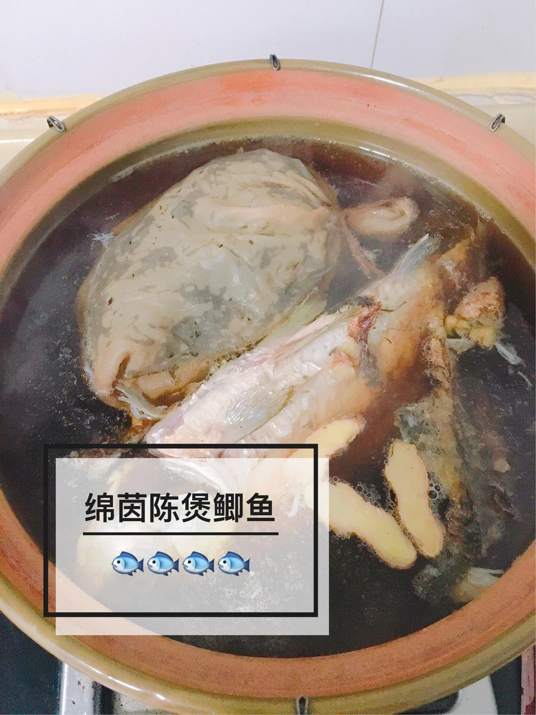 绵茵陈煲鲫鱼