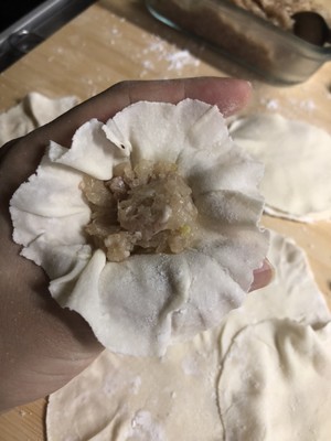烧麦猪肉洋葱(北方版)豆角v烧麦图片