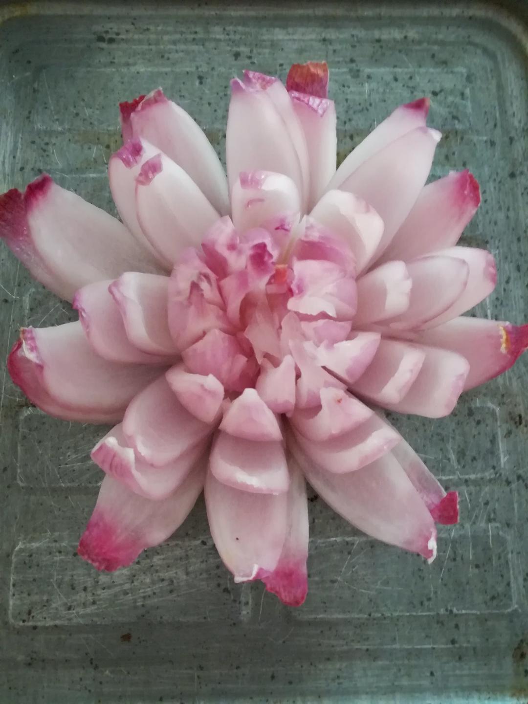 真^_^快乐人生做的洋葱花
