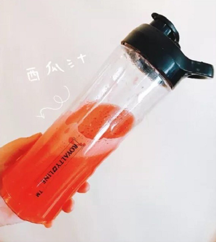 罗娅榨汁机各种食谱