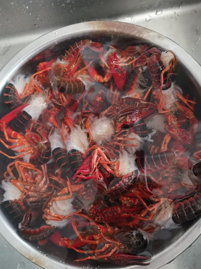 清蒸小龙虾学王刚老师的的做法 步骤1