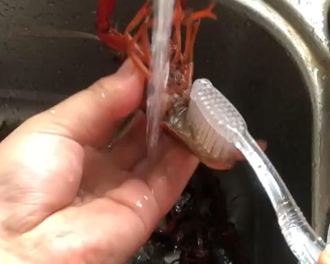 彻底清洗清理小龙虾，简单又干净的做法 步骤5