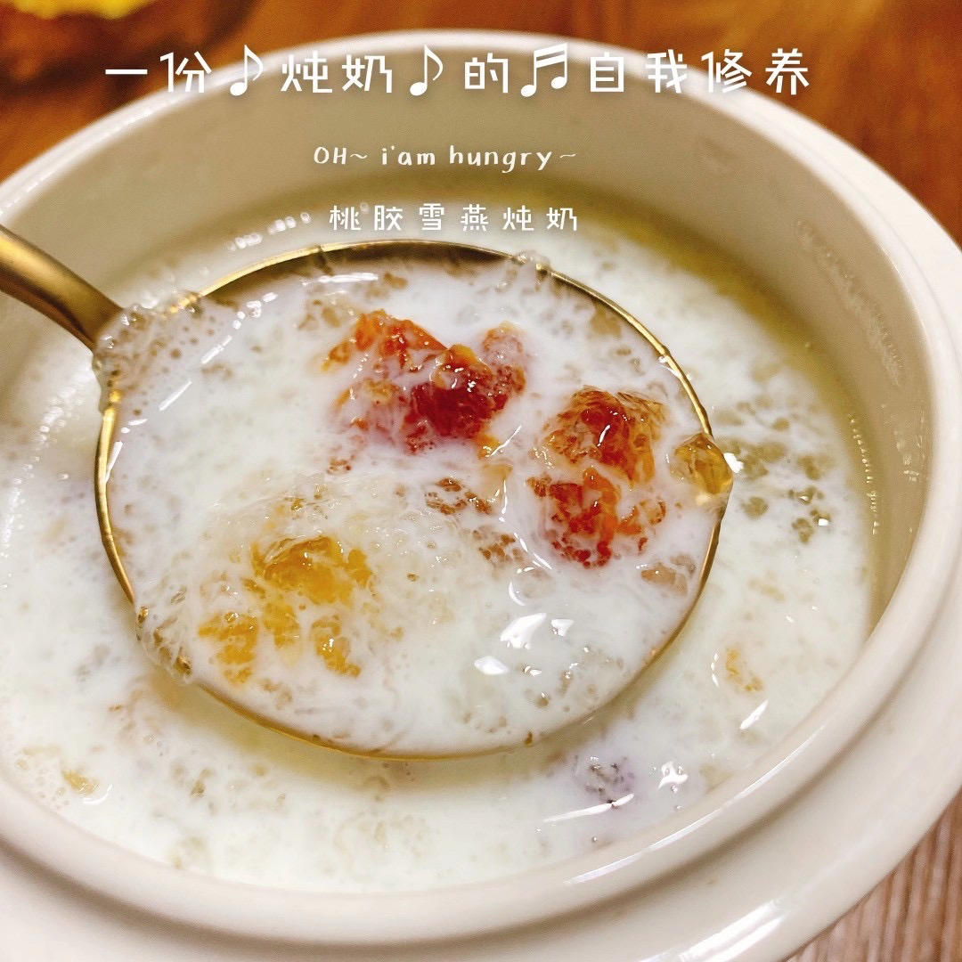 wiki妈咪做的桃胶皂角米雪燕羹
