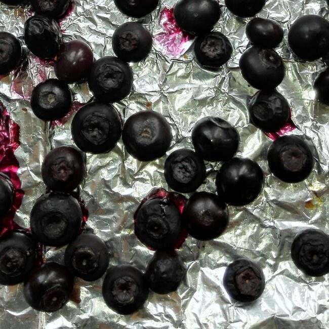 【蓝莓干的做法步骤图,蓝莓干怎么做好吃】湘