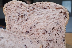 东菱面包机——紫米吐司的做法 步骤16