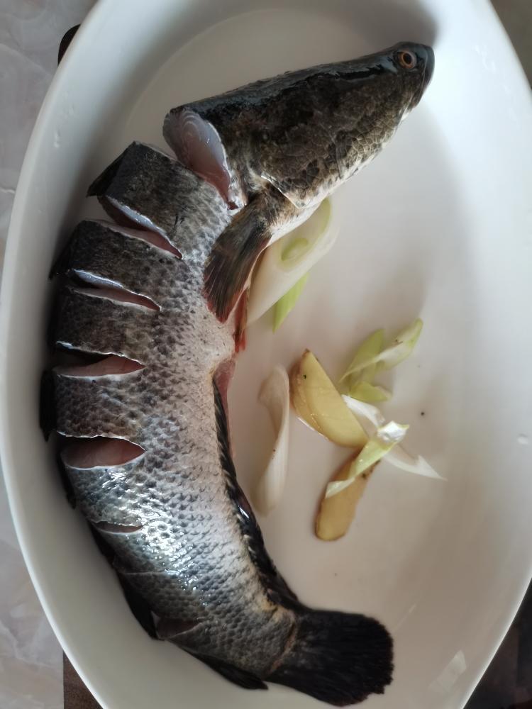 焖黑鱼