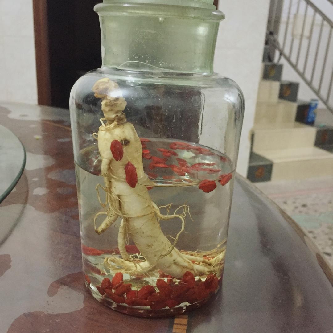 傅安凡做的枸杞人参酒