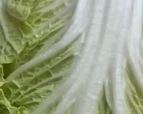 家常砂锅