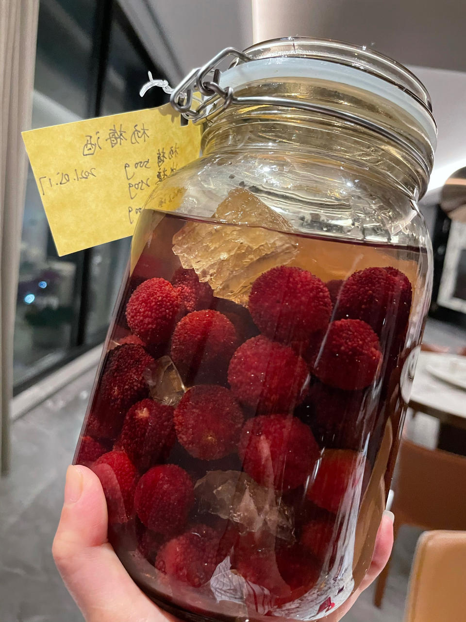 黑夜梦舞lelia做的杨梅酒