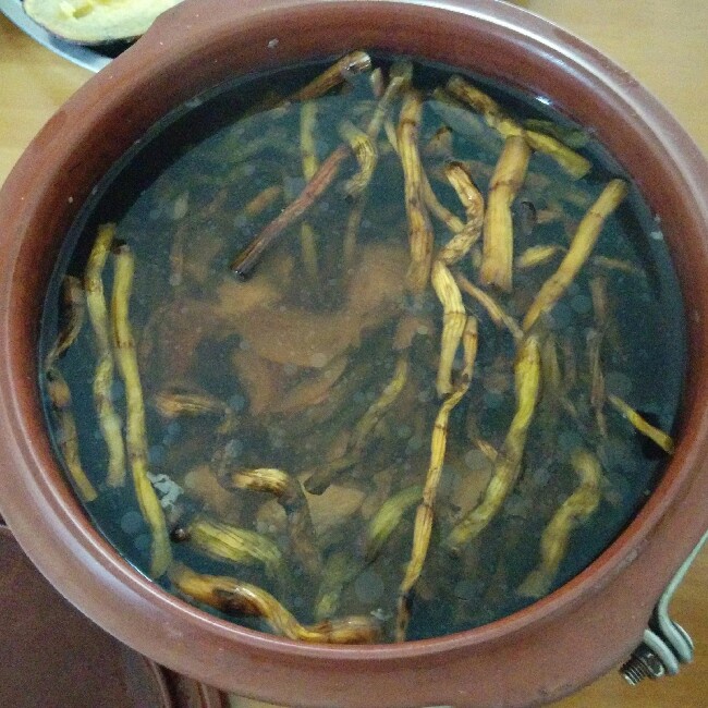 花旗参石斛瘦肉汤的全部作品