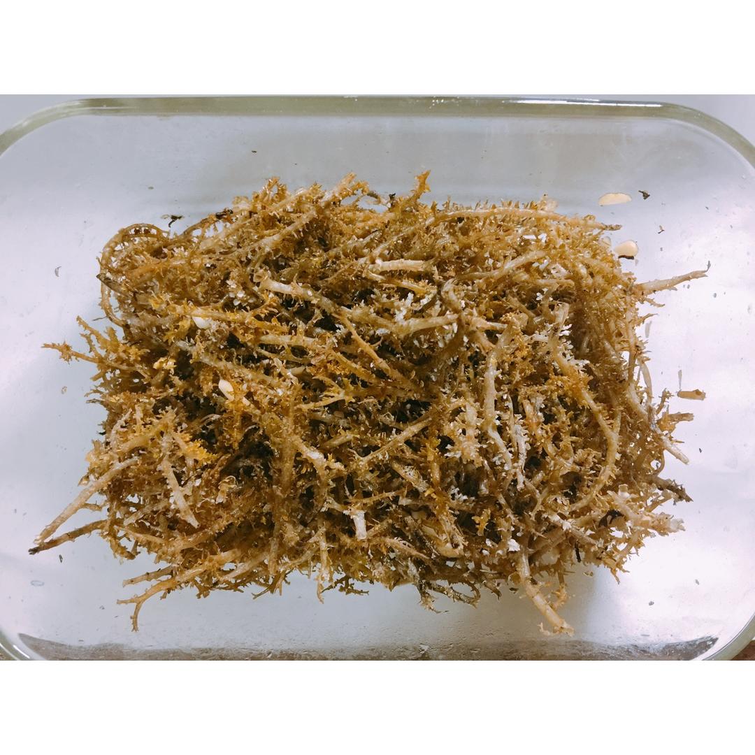 猫咪家兔叽做的凉拌鹿角菜