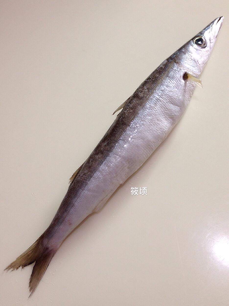 学名:本地摊网话叫尖头鱼.