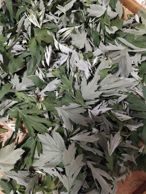 古法——艾草薄荷膏的做法 步骤1