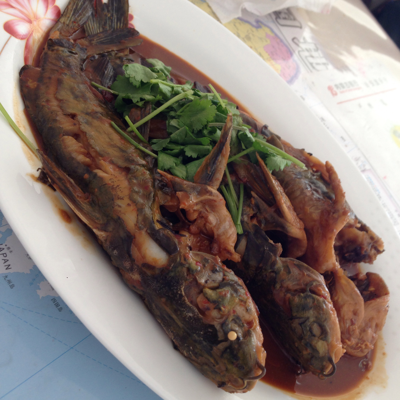 土耳其的食客做的酱焖嘎鱼