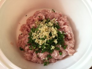 茴香猪肉馅儿锅贴(教你烘锅贴诀窍)