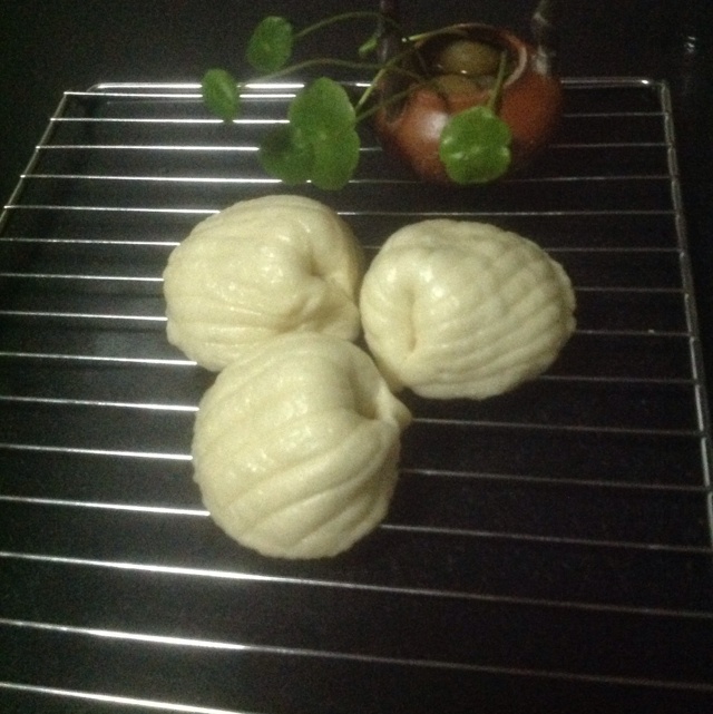 扇贝饼夹的全部作品