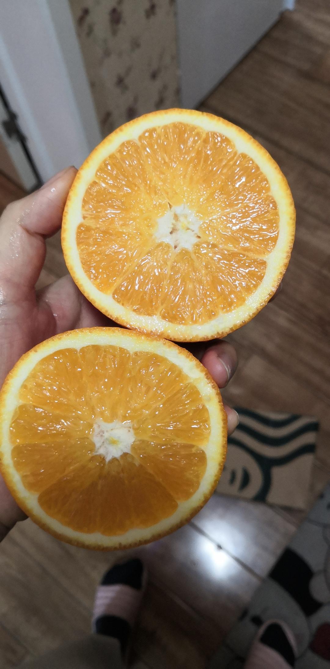 橙子横切面真好看